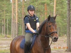 Ratsukko mäntymetsässä, kuvaaja Jaana Juupajärvi